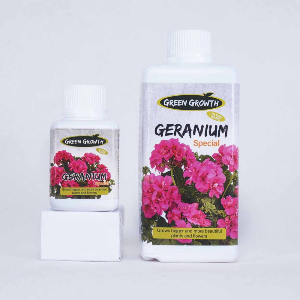 گیاهان شمعدانی