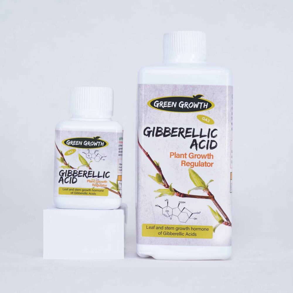 جیبرلیک اسید