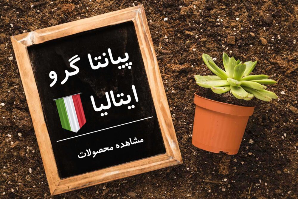 محصول یک - تصویر 2